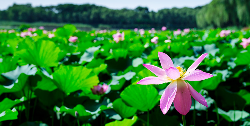 鸿运国际·(中国)官网登录入口
